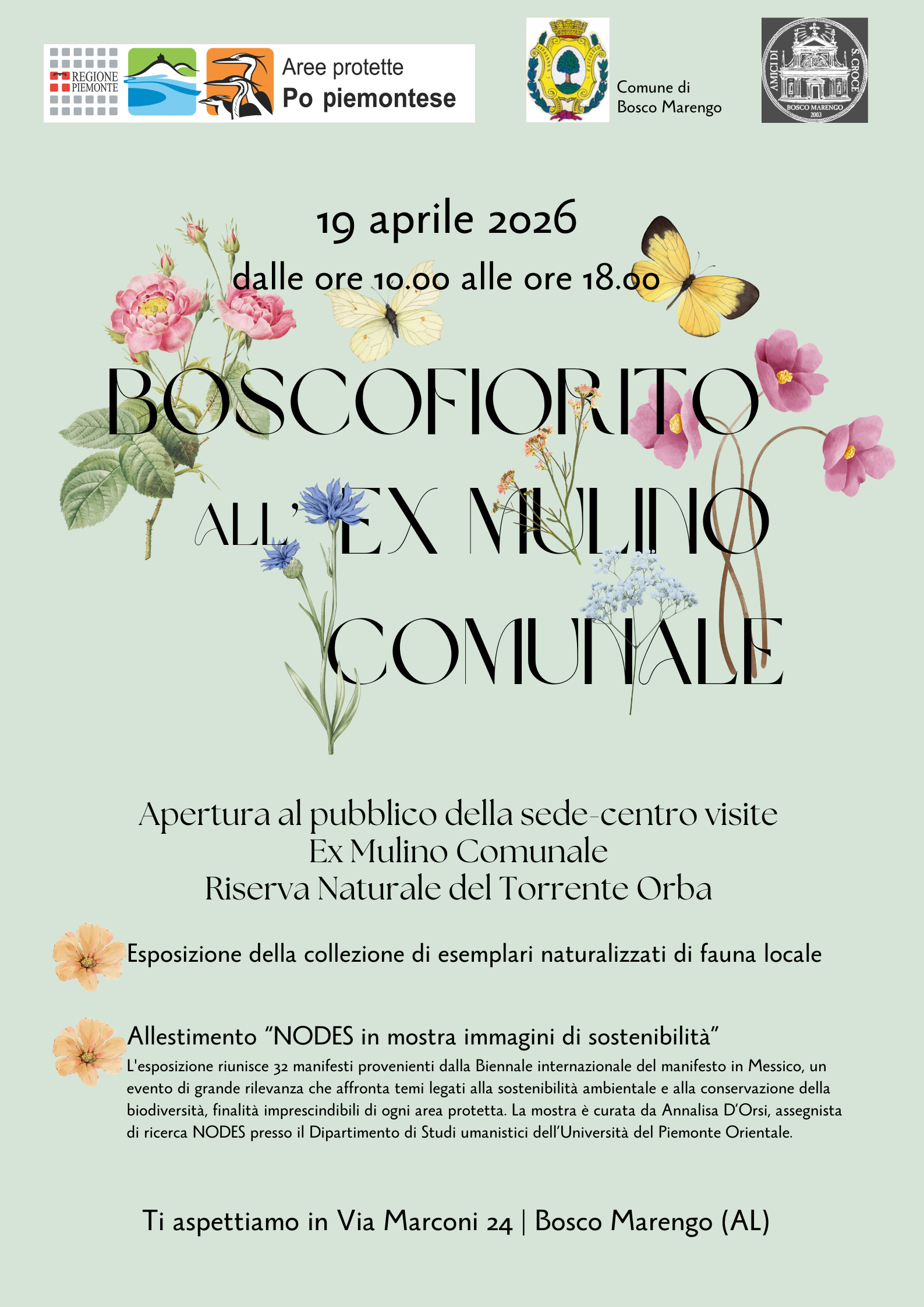 Bosco fiorito all’ex Mulino comunale